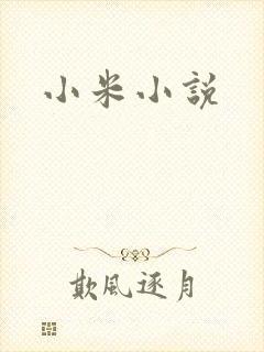 小米小说