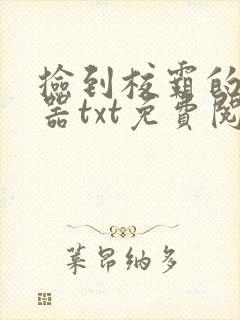 捡到校霸的遥控器txt免费阅读