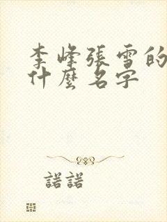 李峰张雪的书叫什么名字