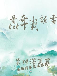 爱奇小说电子书txt下载