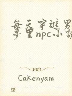 每天穿进男神的梦里npc小说txt