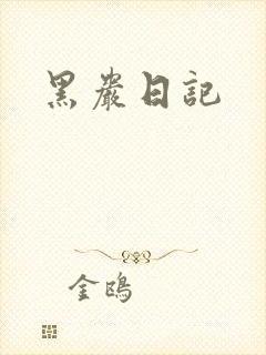黑岩日记