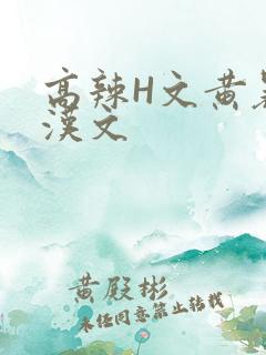 高辣H文黄暴糙汉文