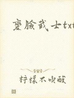 变脸武士txt
