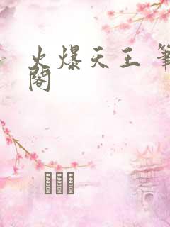 火爆天王 笔趣阁
