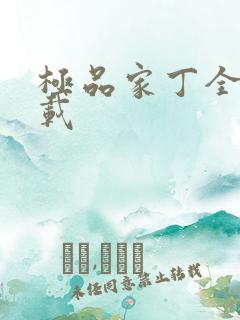 极品家丁全集下载