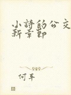 小诗的公交车最新章节