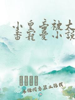 小皇帝被大臣轮番宠爱小说