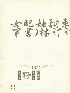 女配她翻车了(穿书)林汀汀