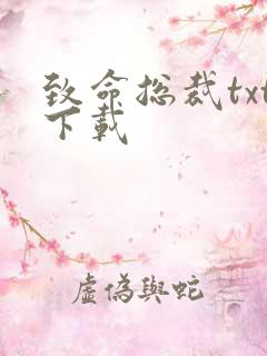 致命总裁txt下载