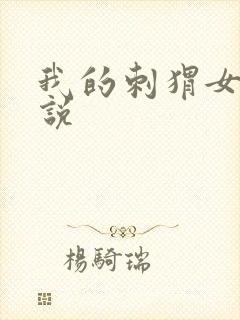 我的刺猬女孩小说