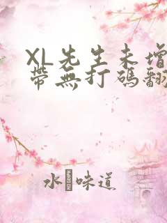 XL先生未增删带无打码翻译