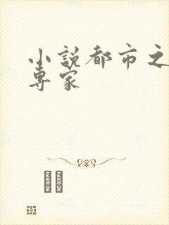 小说都市之军火专家