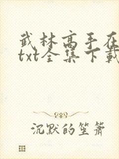 武林高手在异世txt全集下载