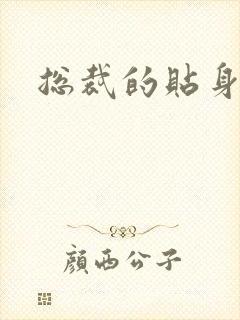 总裁的贴身冷秘