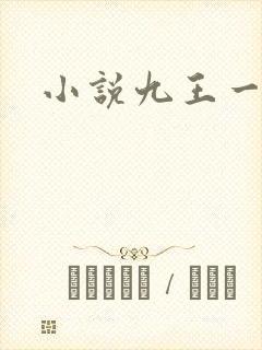 小说九王一后