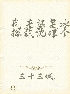 我老婆是冰山女总裁沈浪全集