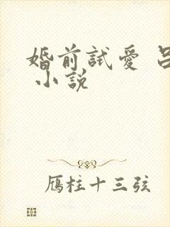婚前试爱 吕颜 小说