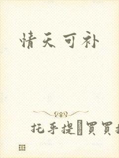 情天可补