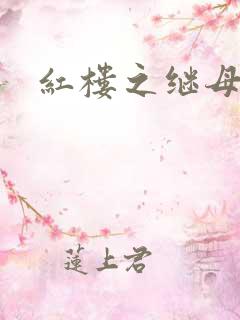 红楼之继母不易