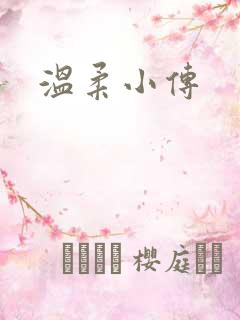 温柔小传