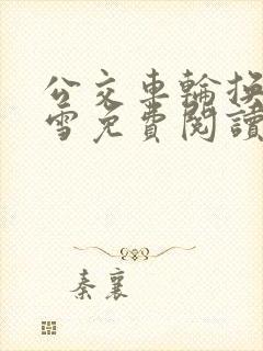 公交车轮换C程雪免费阅读