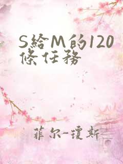 S给M的120条任务