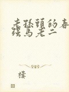 老孙头的春天马强马老二