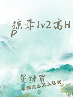 掠夺1v2高HP