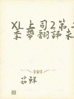 XL上司2第二季带翻译未增