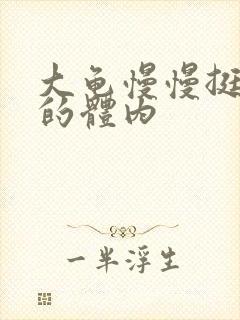 大龟慢慢挺进我的体内