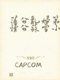 荡公乱妇第1章情公苏雪小说