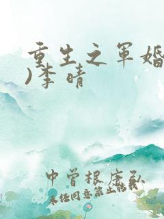 重生之军婚(h)李晴