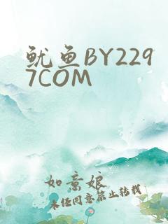 鱿鱼BY2297COM