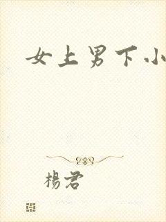 女上男下小说
