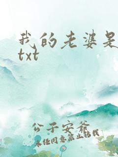 我的老婆是上司txt