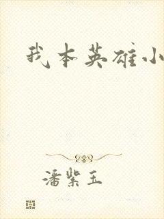 我本英雄小说