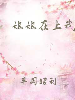 姐姐在上我在下