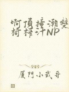 啊顶撞潮双H龙椅榨汁NP