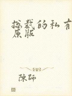 总裁的私有宝贝原版