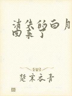 消失的白月光又回来了