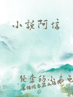 小说阿信