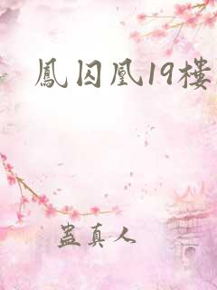 凤囚凰19楼