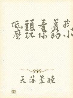 低头看着我是怎么玩你的小说