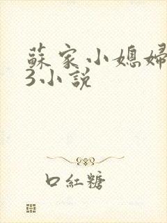 苏家小媳妇1V3小说