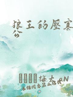 狼王的压寨小相公