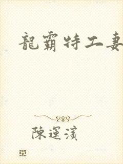 龙霸特工妻