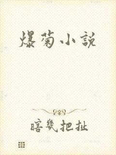 爆菊小说