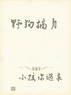 野狗摘月