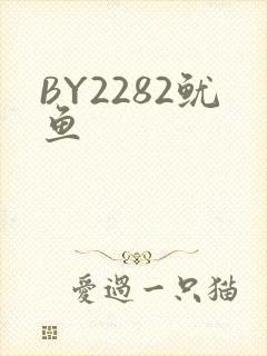 BY2282鱿鱼
